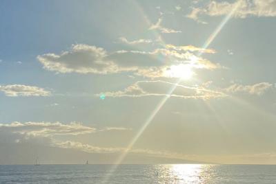 Quantum Reiki Healing Energy Session Quantum Reiki Healing Energy Session