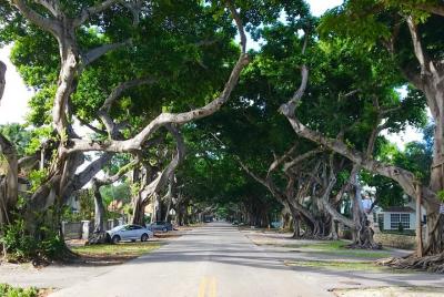 Wonders of Miami City Tour+ Rich & Famous Biscayne bay boat tour