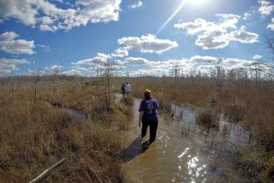 Full Day Everglades: Wet Walk with a Naturalist and Two 1-Hour Boat Trips 