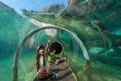 Zoo Miami Ticket with Optional Upgrade Zoo Miami Ticket with Optional Upgrade