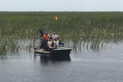 Private 1.5-Hour Airboat Tour of Miami Everglades