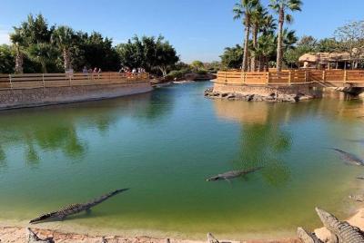 Croco parc agadir  Croco parc agadir