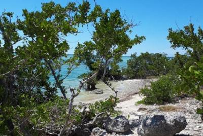 Miami to Key West Day Trip Transportation 