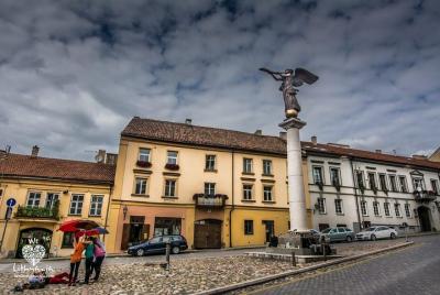 Vilnius Private Tour: Uzupis Republic Walking Tour