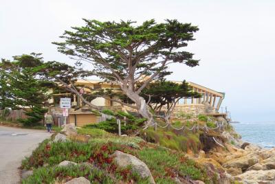 Carmel Point: Discover its rugged coastline on an audio walking tour Carmel Point: Discover its rugged coastline on an audio walking tour