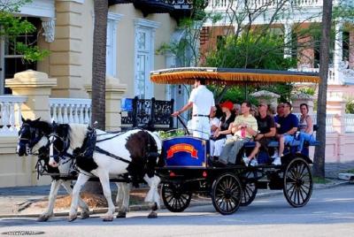 Charleston Sightseeing Day Trip with Lunch from Myrtle Beach