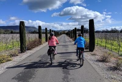 Sonoma Valley Full-Day Pedal Assist Bike Tour with Lunch - (Reg. Bike Optional)