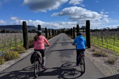 Behind-the-Scenes Food and Wine E-Bike or Regular Bike Tour