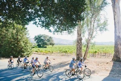 Napa Valley Winery + Picnic Tour Napa Valley Winery + Picnic Tour
