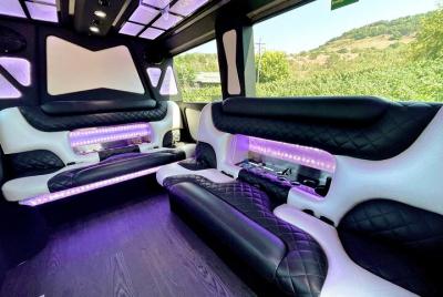 Private Tour in a 8 Passenger Mercedes Sprinter Limo Van Private Tour in a 8 Passenger Mercedes Sprinter Limo Van