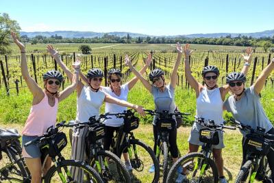 Half-Day Sonoma Valley Bike and Wine Tour (E-bike or Regular)