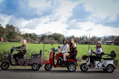 3 hr Guided Sonoma Wine Country Tour on Electric Trike (2 person min) 3 hr Guided Sonoma Wine Country Tour on Electric Trike (2 person min)