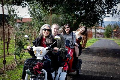 5 hr Guided Wine Country Tour in Sonoma on an Electric-Trike 5 hr Guided Wine Country Tour in Sonoma on an Electric-Trike