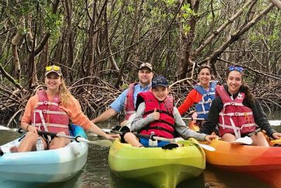 Kayak Tour Barefoot Beach Preserve Magical Mangrove Estuary Adven Kayak Tour Barefoot Beach Preserve Magical Mangrove Estuary Adven