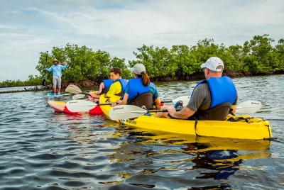 Shared 2 hours Rookery Bay Reserve Kayak Ecotour in Naples Shared 2 hours Rookery Bay Reserve Kayak Ecotour in Naples