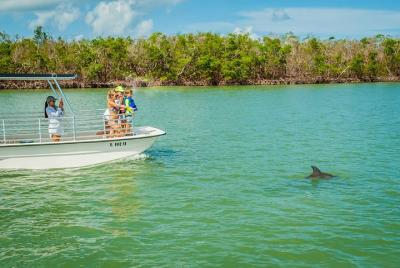 Marco Island Dolphin-Watching Tour