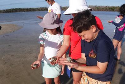 2-hour Shelling Boat Tour in the 10,000 Islands 2-hour Shelling Boat Tour in the 10,000 Islands