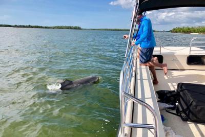 Ten Thousand Islands Boat Tour 