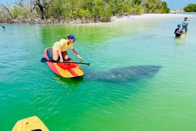 Dolphin and Manatee Adventure Tour of Fort Myers Dolphin and Manatee Adventure Tour of Fort Myers