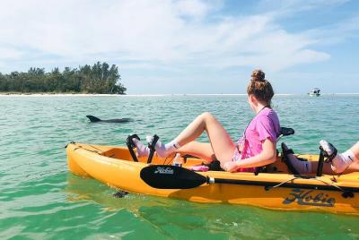 Ten Thousand Islands Eco Tour and Shelling with Hobie Kayak (with pedals)