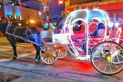 Narrated Historical Horse & Carriage Rides in Nashville (20-Minut Narrated Historical Horse & Carriage Rides in Nashville (20-Minut