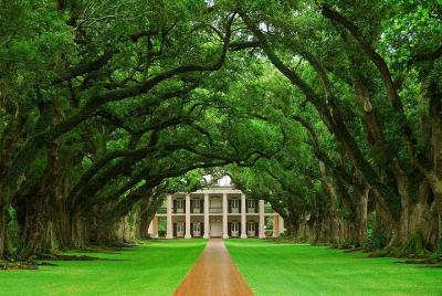 Oak Alley Plantation Tour from New Orleans Oak Alley Plantation Tour from New Orleans