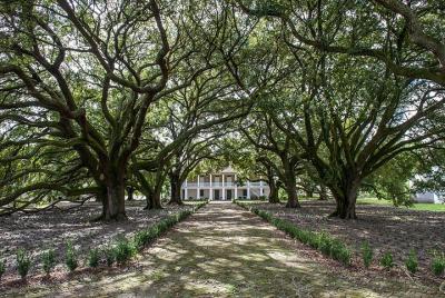 Whitney Plantation Tour Whitney Plantation Tour