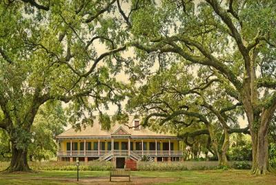 Laura Plantation Tour with Transportation Laura Plantation Tour with Transportation
