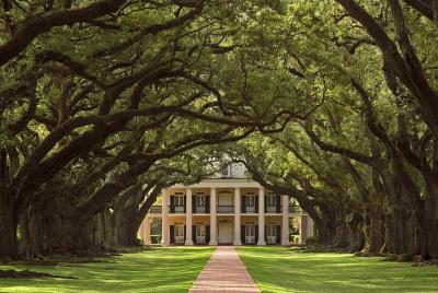 Swamp Boat Ride and Oak Alley Plantation Tour from New Orleans Swamp Boat Ride and Oak Alley Plantation Tour from New Orleans