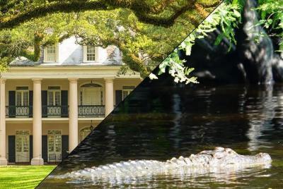 Full Day Oak Alley Plantation and Swamp Boat Tour from New Orleans Full Day Oak Alley Plantation and Swamp Boat Tour from New Orleans