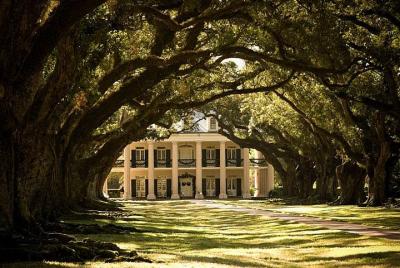 Oak Alley Plantation and Large Airboat Swamp Tour from New Orleans Oak Alley Plantation and Large Airboat Swamp Tour from New Orleans