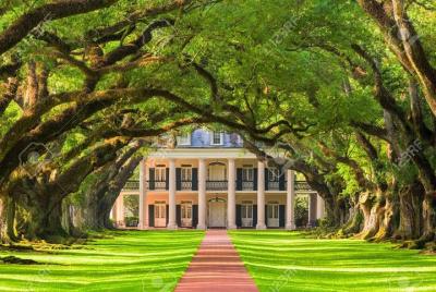 Oak Alley Plantation and Large Airboat Tour Oak Alley Plantation and Large Airboat Tour