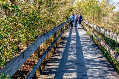New Orleans Plantation and Swamp Private Tour New Orleans Plantation and Swamp Private Tour