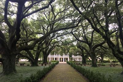 Whitney Plantation Private Tour With Round-Trip Transportation Whitney Plantation Private Tour With Round-Trip Transportation