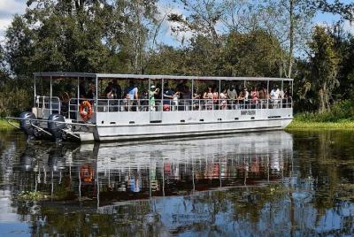 Guided Boat Tour of New Orleans Bayou and Wildlife Guided Boat Tour of New Orleans Bayou and Wildlife
