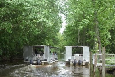 90-Minute Jean Lafitte Swamp and Bayou Tour 90-Minute Jean Lafitte Swamp and Bayou Tour