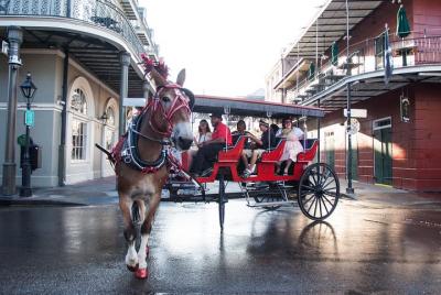 French Quarter & Marigny Neighborhood Carriage Ride 