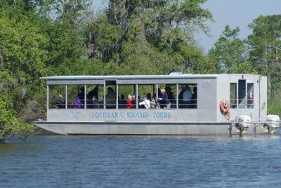 New Orleans Swamp Tour Boat Adventure With Pickup New Orleans Swamp Tour Boat Adventure With Pickup