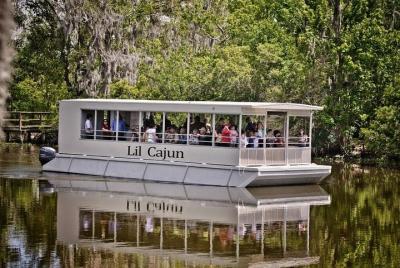 Swamp and Bayou Sightseeing Boat Tour with Transportation from Ne