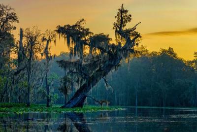 5-Day Louisiana Cajun Country Private Adventure 5-Day Louisiana Cajun Country Private Adventure