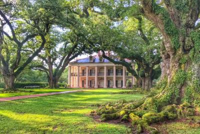 Oak Alley Plantation Tour
