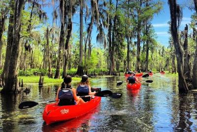 Manchac Swamp Kayak Small-Group Tour Manchac Swamp Kayak Small-Group Tour