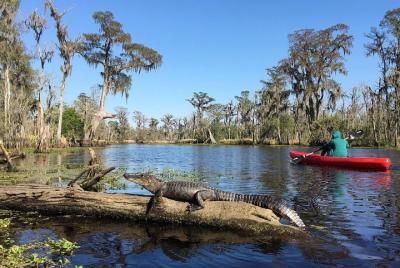 Whitney Plantation and Manchac Swamp Kayak Tour Combo Whitney Plantation and Manchac Swamp Kayak Tour Combo