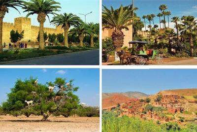 Go discover Taroudant & Tiout Day Trip from agadir Go discover Taroudant & Tiout Day Trip from agadir
