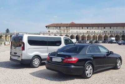 New Orleans L. Armstrong Airport (MSY) to Cruise Port - Arrival Private Transfer New Orleans L. Armstrong Airport (MSY) to Cruise Port - Arrival Private Transfer