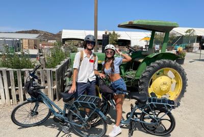 Full-Day Pedego Electric Bike Rental in Irvine 
