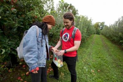 Shared Apple Picking Day Trip from Manhattan