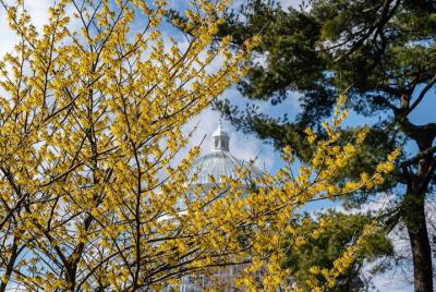 New York Botanical Garden Pass