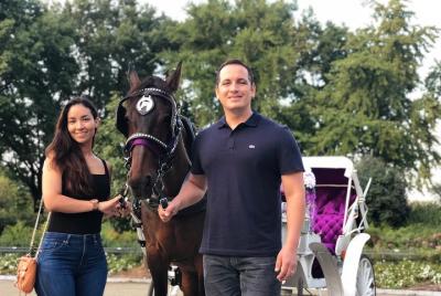 Carriage Ride in Central Park