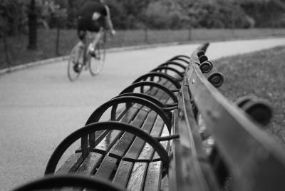 Best of Central Park Bike Tour Best of Central Park Bike Tour